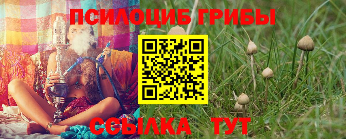 Галлюциногенные грибы Psilocybine cubensis  дарнет шоп  Ногинск  Вход с VPN 