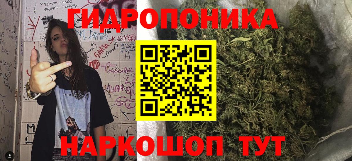 Ногинск  Шишки марихуана сатива  Бошки Шишки марихуана  Шишки марихуана ГИДРОПОН  Вход с VPN 